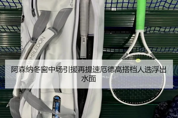 阿森纳冬窗中场引援再提速厄德高搭档人选浮出水面 - QIUSUSPORTS